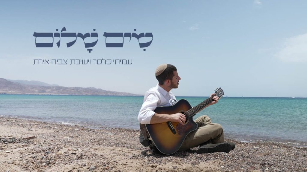 עמיחי פלסר - שים שלום