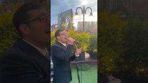 ארי גולד & דוד איכילביץ