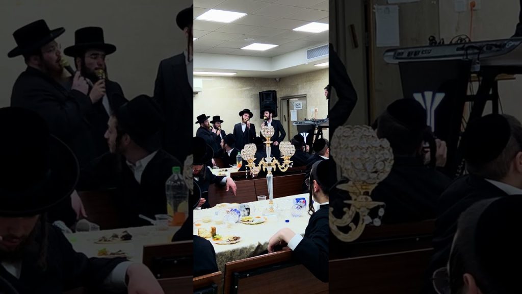 את זה עוד לא ראיתם… החיקוי הכי מוצלח של פינקי וובר!
