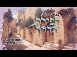 מאיר חי