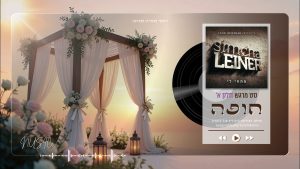 יוסף ממיה - סט שירי חופה מרגשים ברצף💍| בעריכת יוסף ממיה A set of moving chuppah songs edited by Yosef Mamia