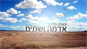 יהונתן מלכה