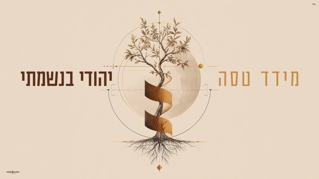 מידד טסה - מלמעלה