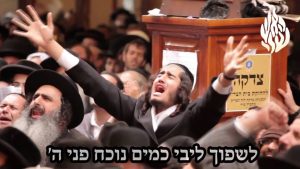 לחיים טיש