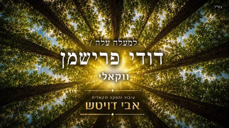 דודי פרישמן - למעלה עלה