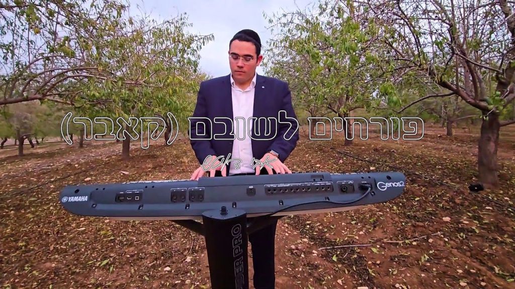 אבי דויטש - פורחים לשובם - קאבר קלידים