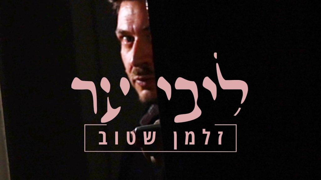 זלמן שטוב – ליבי ער
