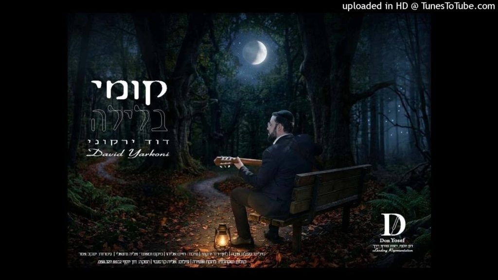 דוד ירקוני - קומי בלילה