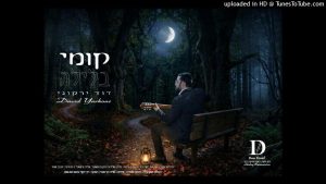 דוד ירקוני