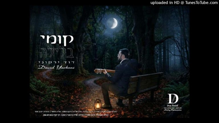 דוד ירקוני - קומי בלילה