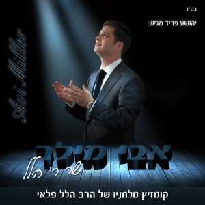 אבי מילר