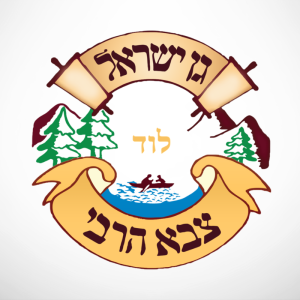 קעמפ צבא הרבי לוד