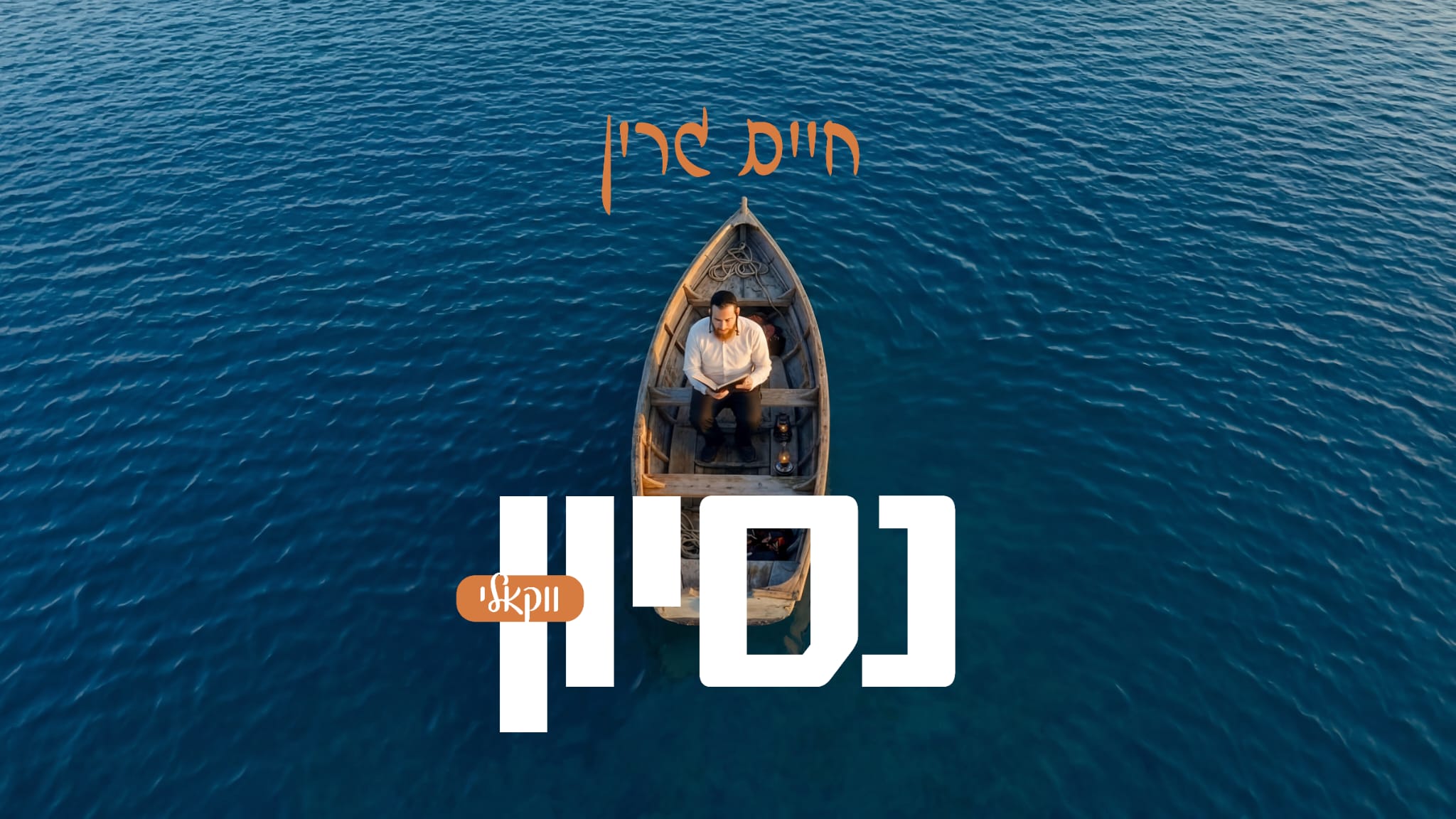 חיים גרין - נסיון