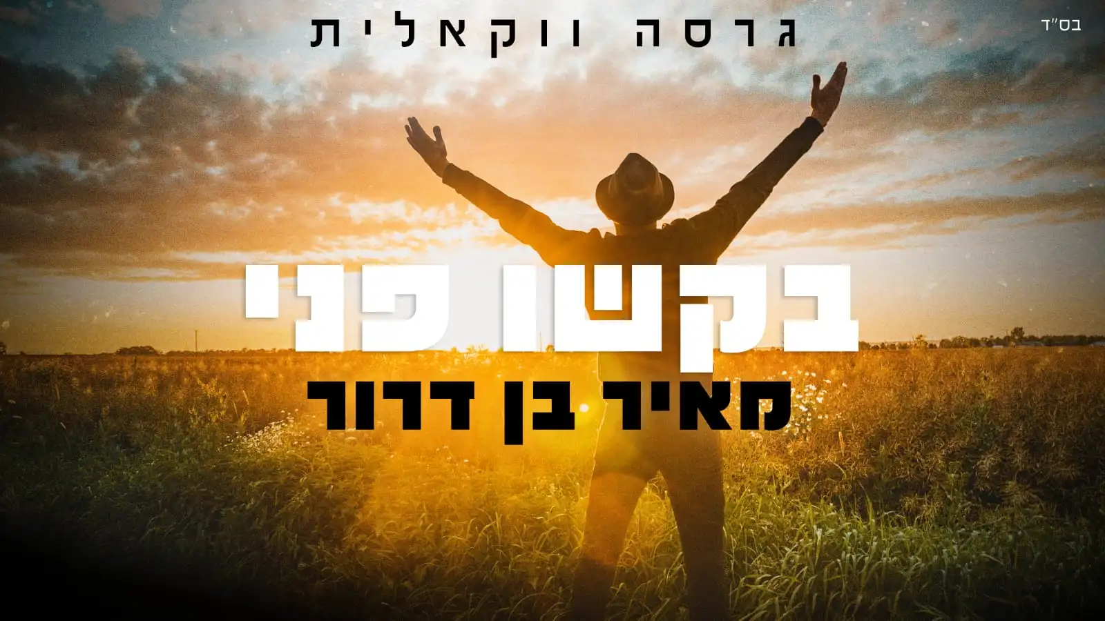 מאיר בן דרור