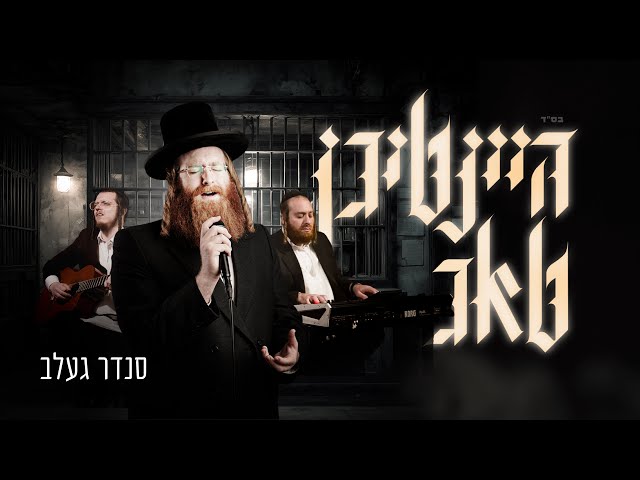 סנדר געלב