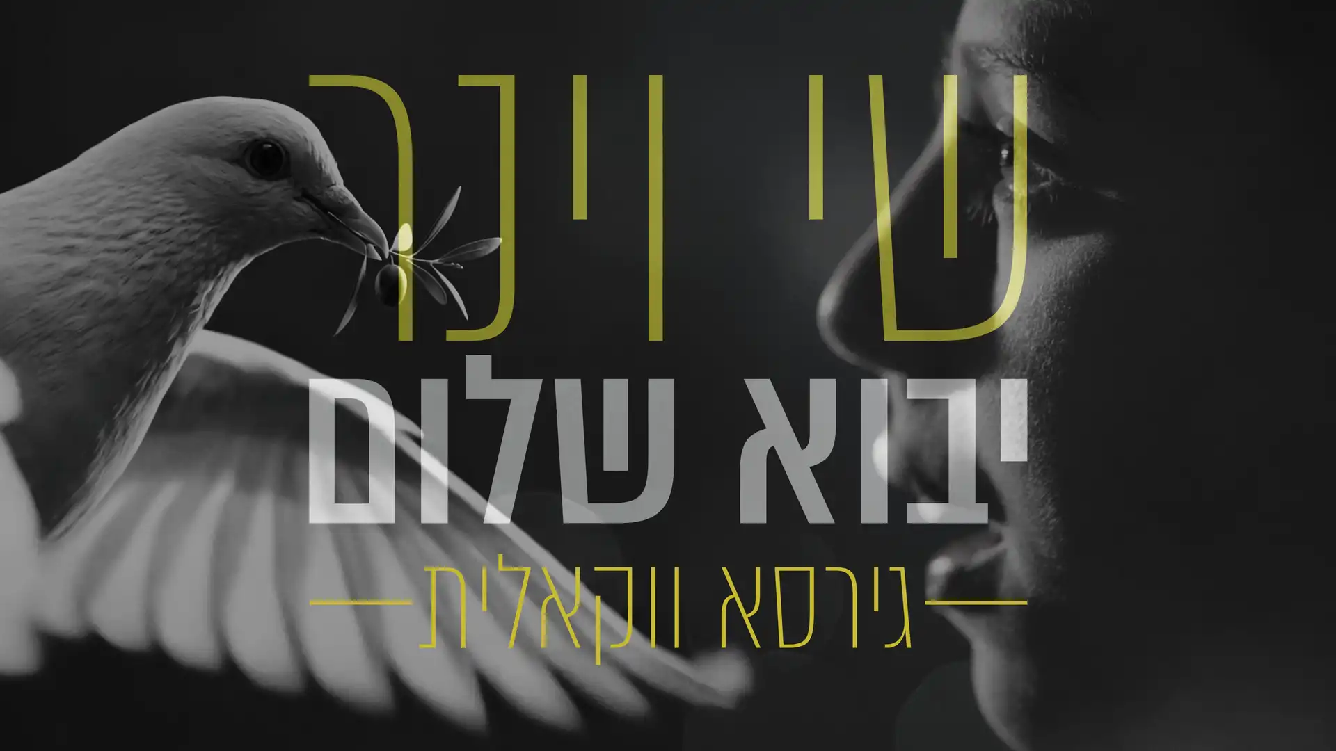 שי וינר - יבוא שלום | ווקאלי