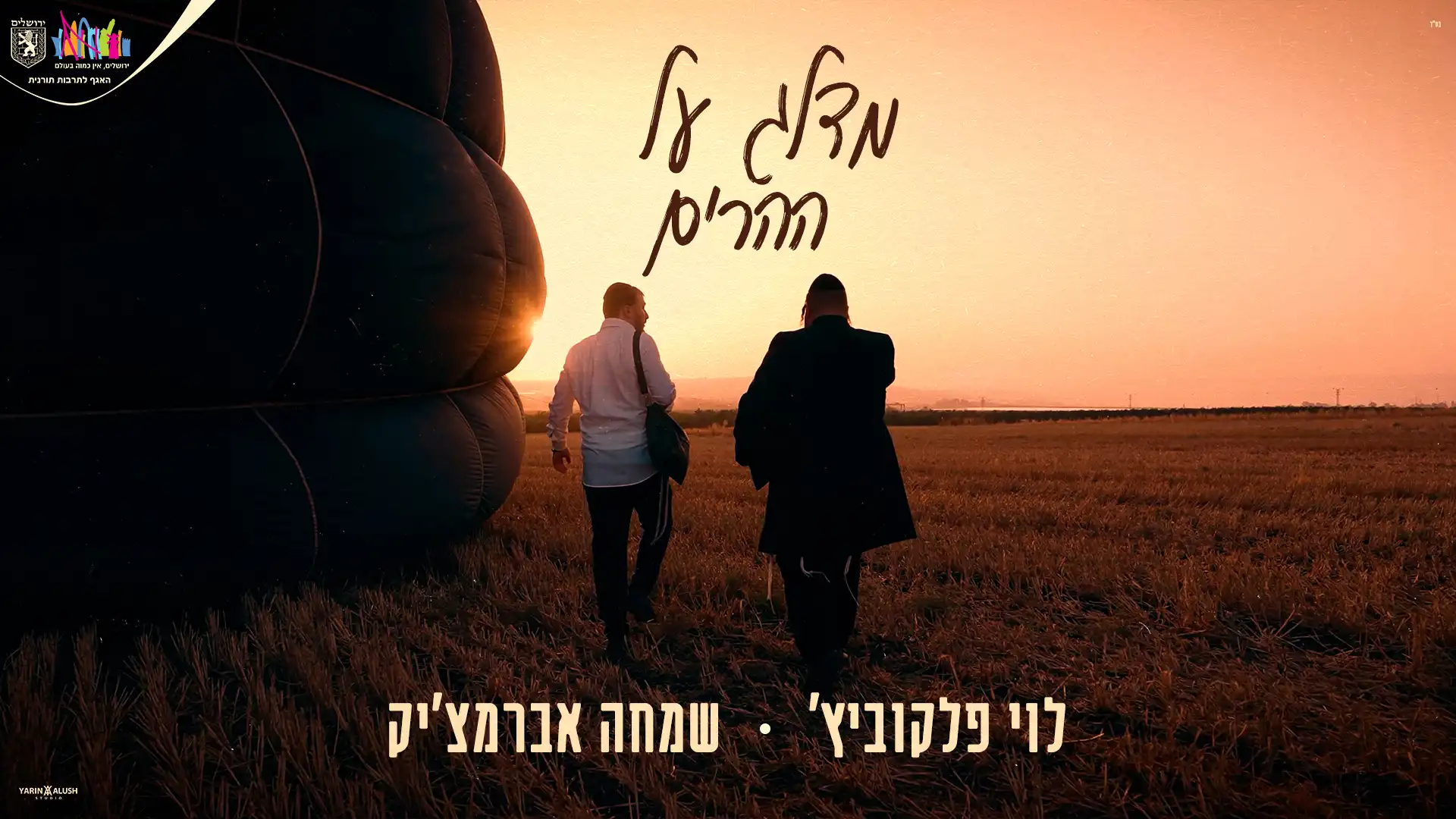 שמחה אברמצ׳יק, לוי פלקוביץ׳ - מדלג על ההרים | קאבר
